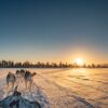 Balade hivernale en traîneau
