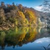 Reflets d'automne