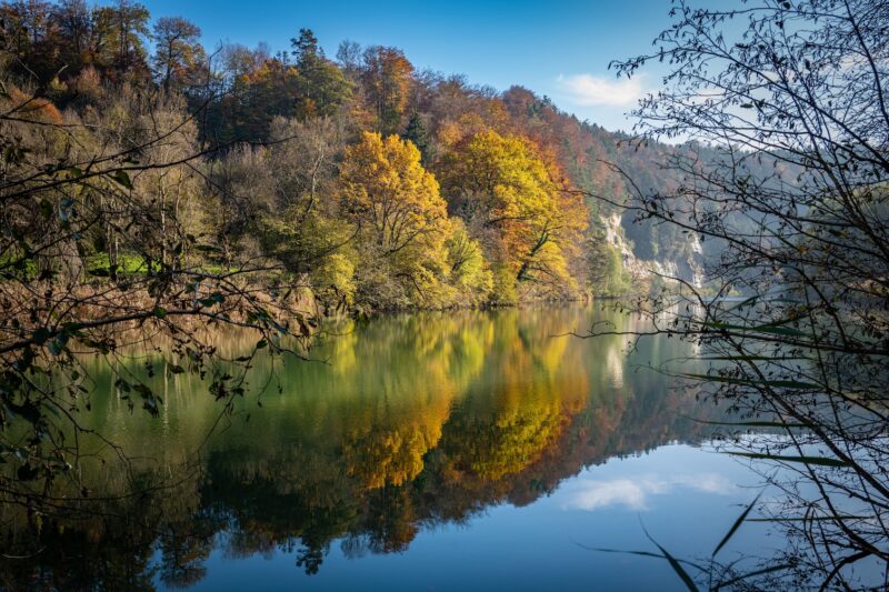 Reflets d'automne