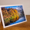 Reflets d'automne