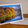 Reflets d'automne