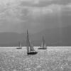 ca008 Voiliers sur le lac