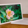 Fleur aux couleurs printanières
