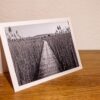 Sentier dans les roseaux