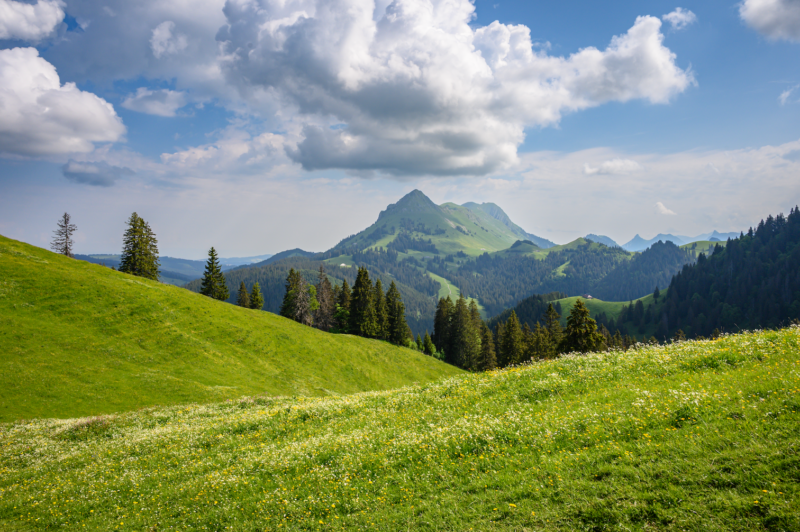 Préalpes fribourgeoises