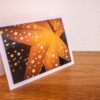Étoile lumineuse de Noël