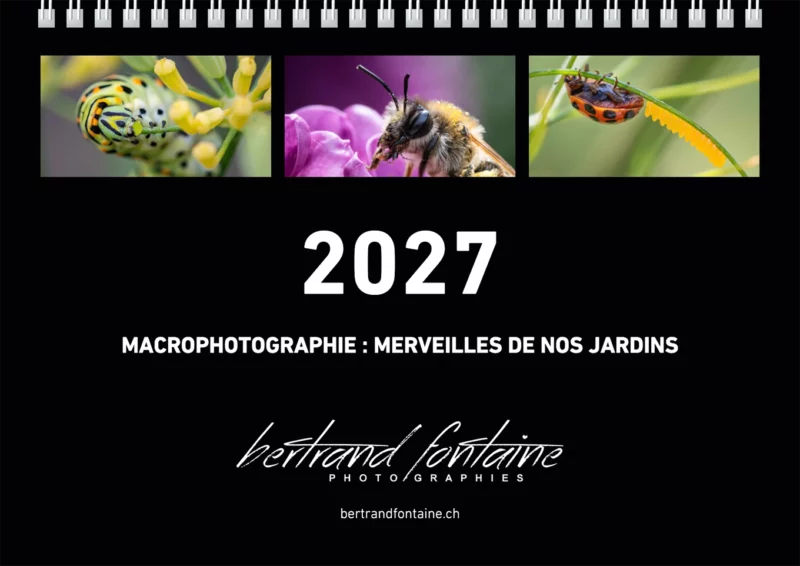 Calendrier de bureau 2027 "Macrophotographie : Merveilles de nos jardins"