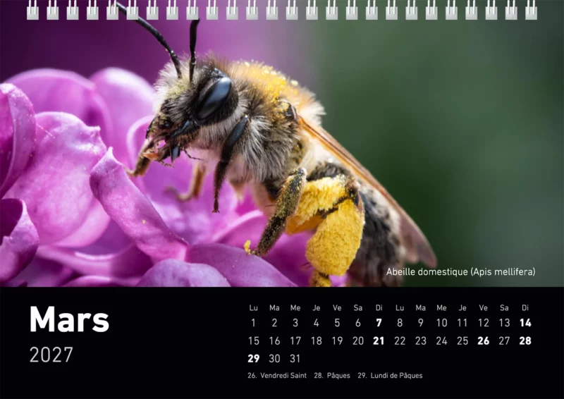 Calendrier de bureau 2027 "Macrophotographie : Merveilles de nos jardins"