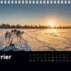 Calendrier de bureau 2027 "Lumières et contrastes du Nord"
